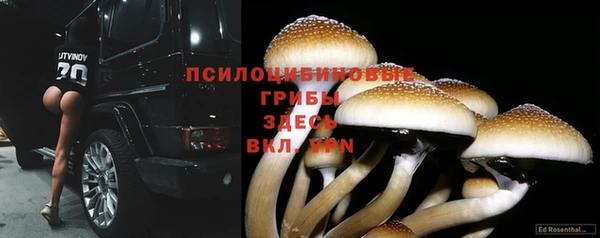 бошки Алзамай