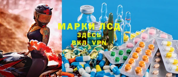 трава Магас