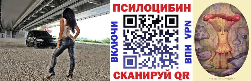 Галлюциногенные грибы мухоморы  OMG зеркало  Тырныауз 